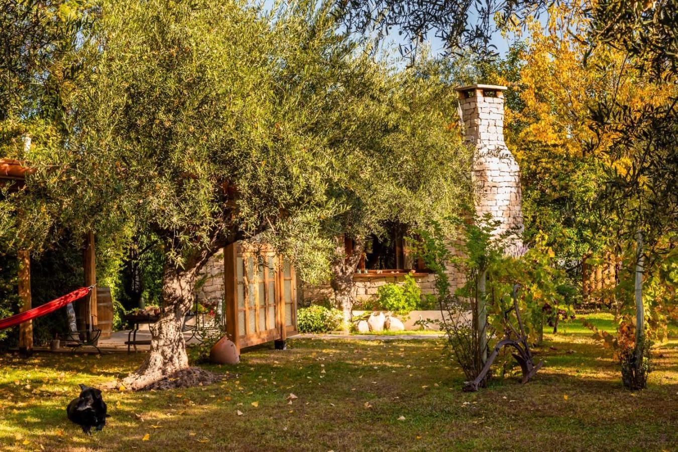 Aromos De Olivares Chacras de Coria Luaran gambar